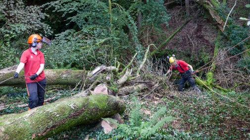 Rangers clearing fallen trees from the footpath at Lydford Gorge, Devon
